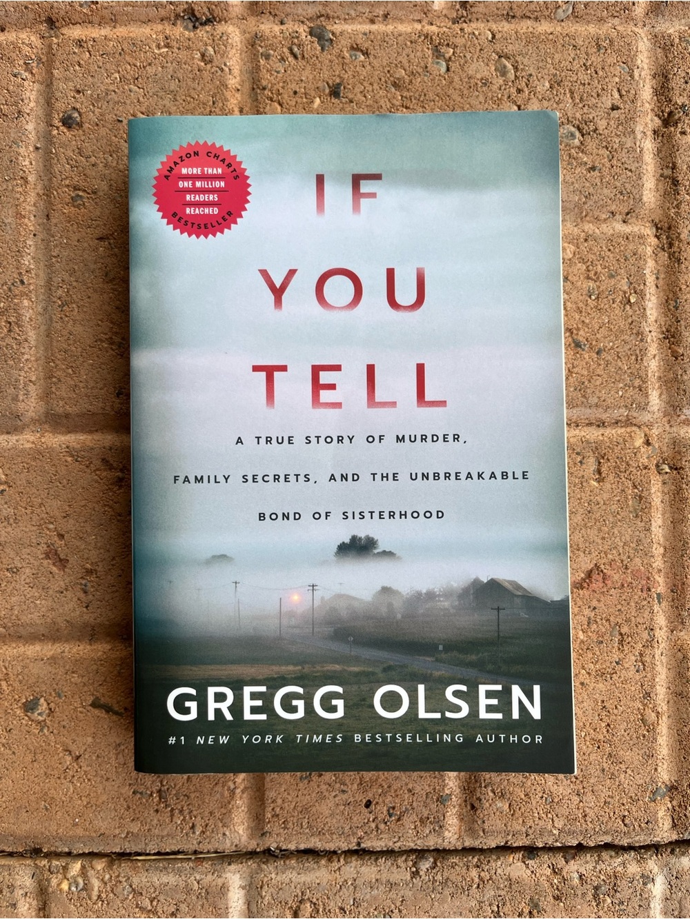 If You Tell - Paperback Book (Blue/Gray Cover)